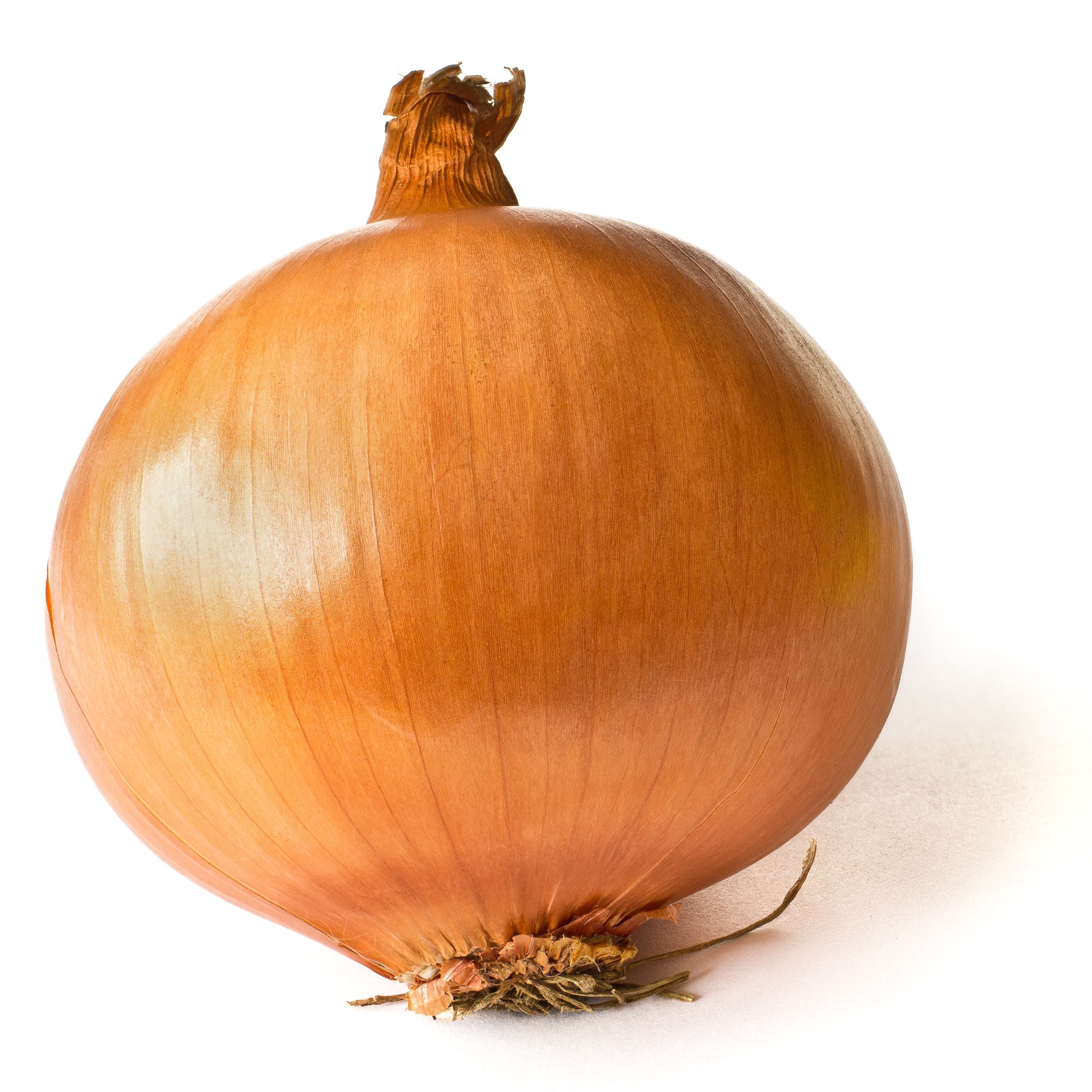 Onion & Garlic
